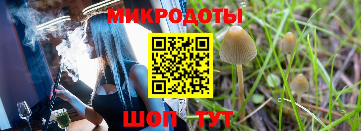 Псилоцибиновые грибы Psilocybe  Вход с VPN  Еманжелинск 